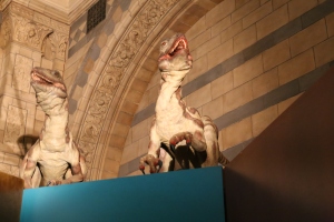 Dromaeosaurus animatronic dinosaurs - these guys had a blood-curdling screech